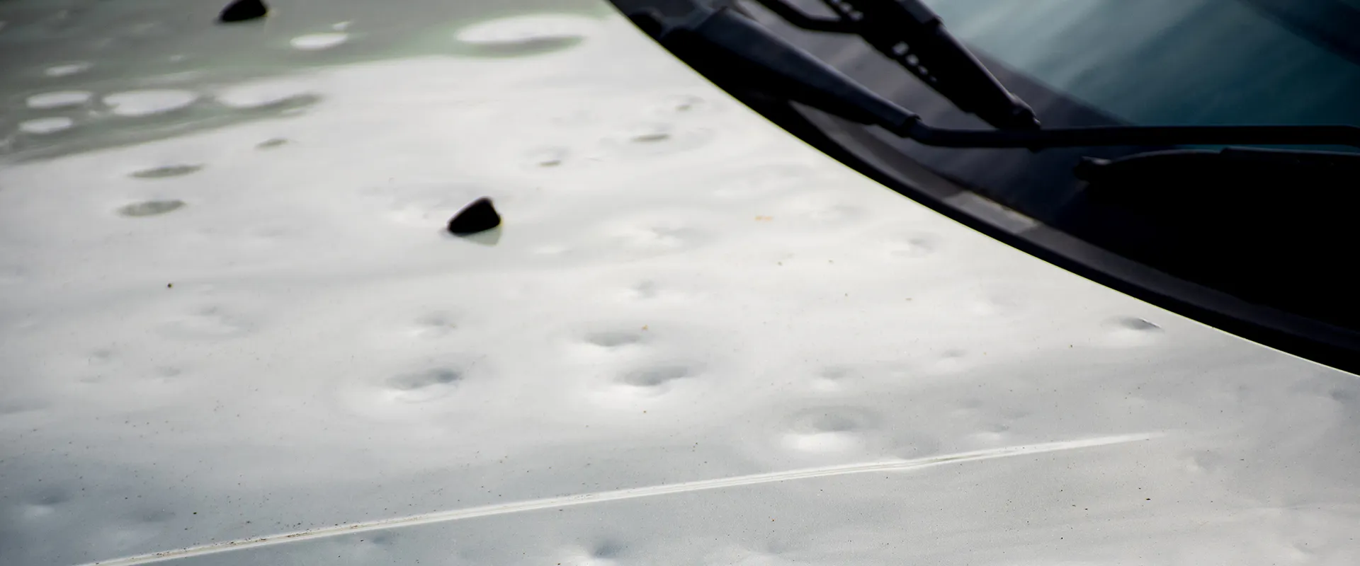Hail Damage Repair near Eagan, MN
